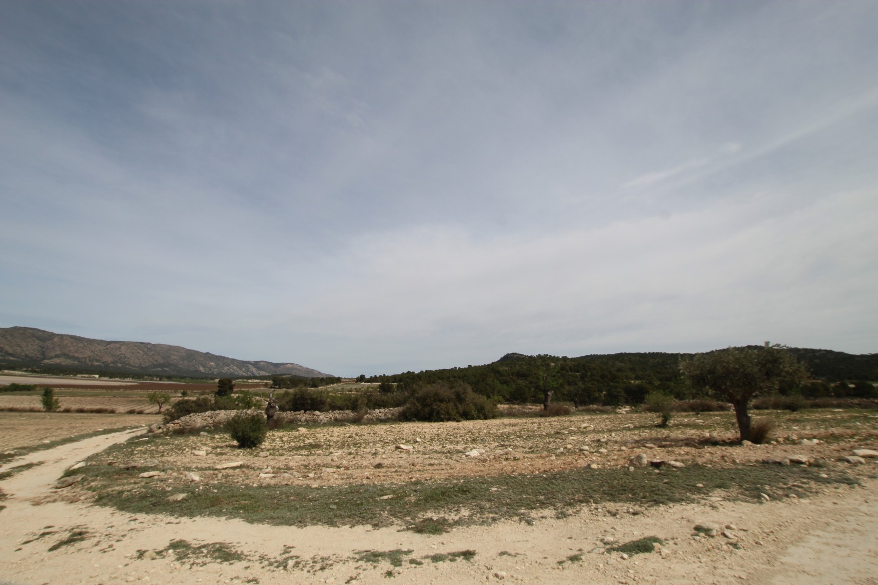 1 Bed, 1 Bath, HouseFor Sale, Monóvar/Monóver, Alicante