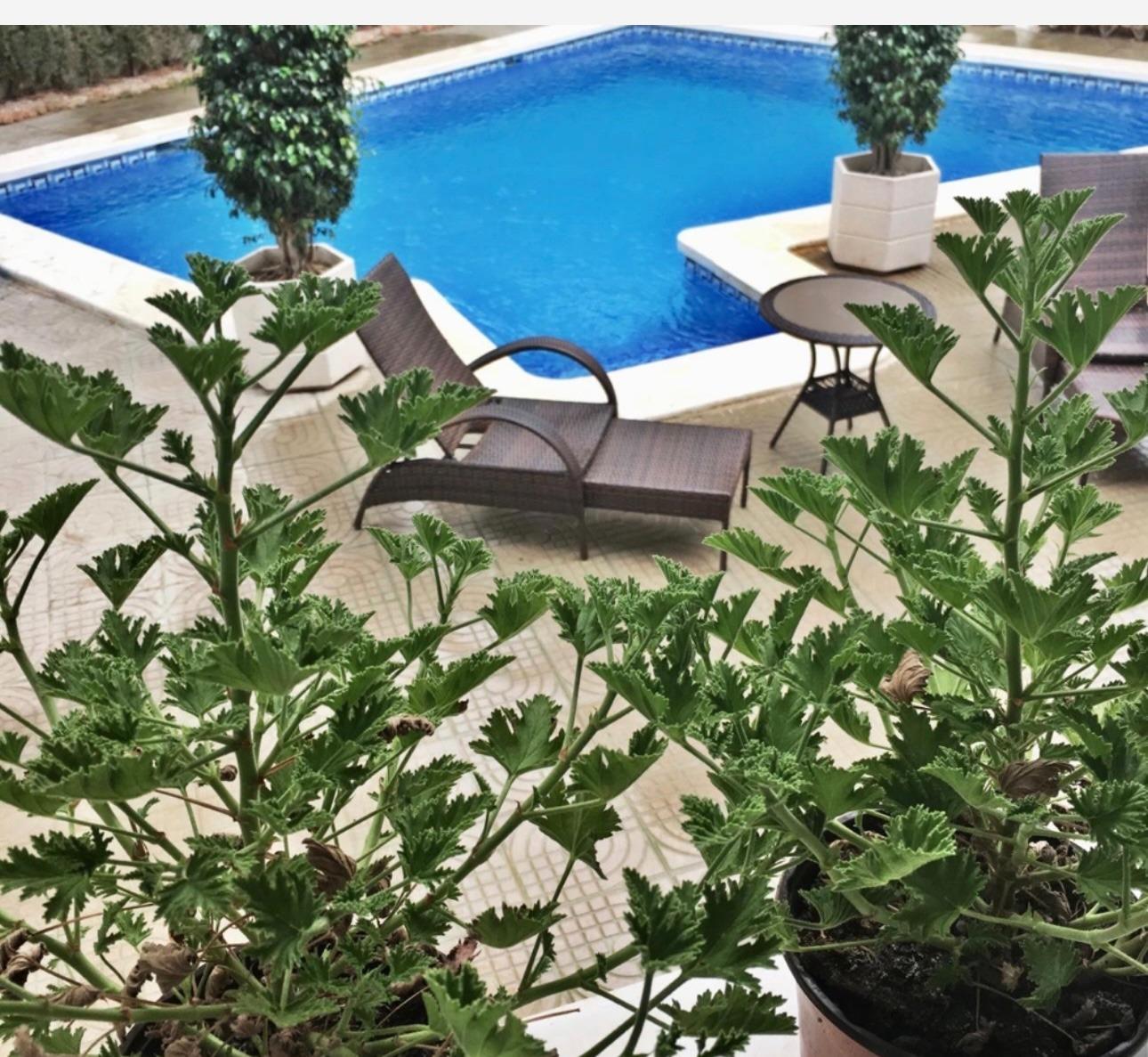 5 Bed, 5 Bath, HouseFor Sale, Ciudad Quesada, Alicante