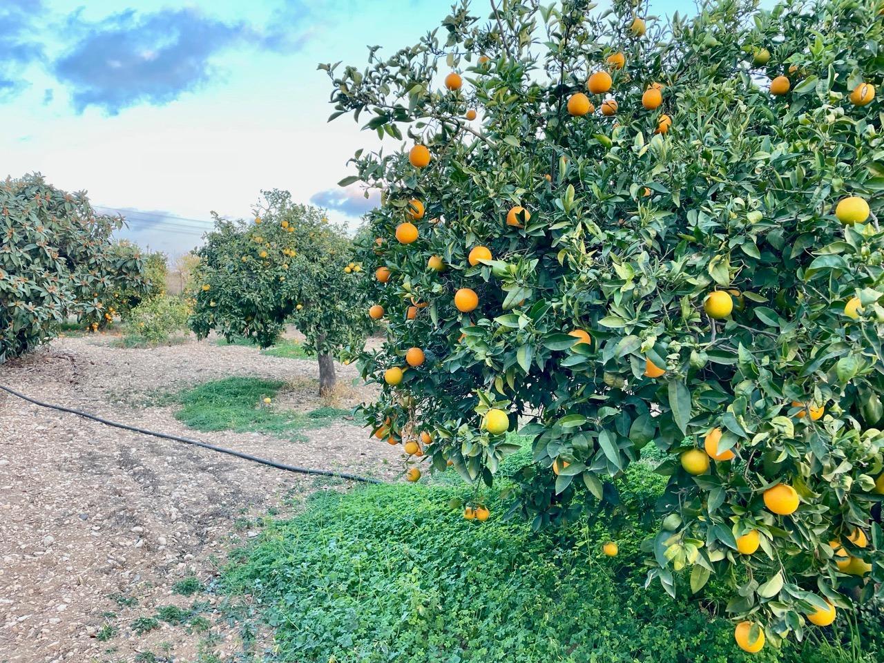 6 Bed, 2 Bath, HouseFor Sale, Benidorm, Alicante