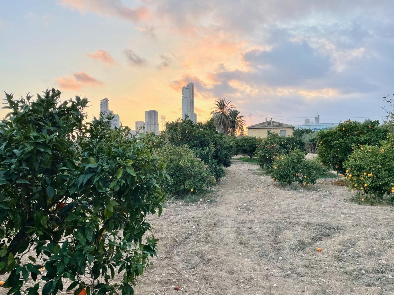 6 Bed, 2 Bath, HouseFor Sale, Benidorm, Alicante