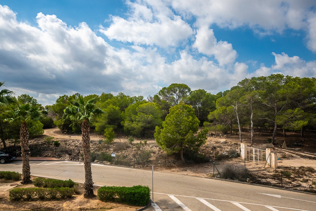 2 Bed, 1 Bath, ApartmentFor Sale, Algorfa, Alicante