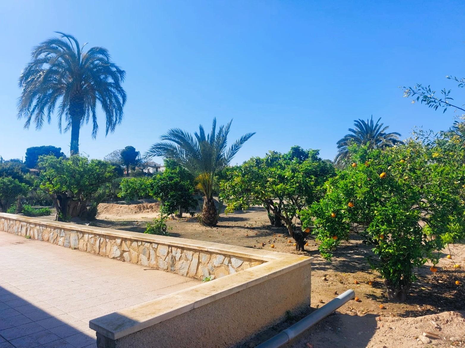 5 Bed, 2 Bath, HouseFor Sale, La Marina, Alicante