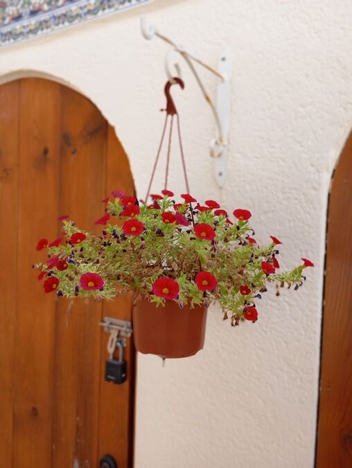 3 Bed, 2 Bath, HouseFor Sale, Villamartin, Alicante