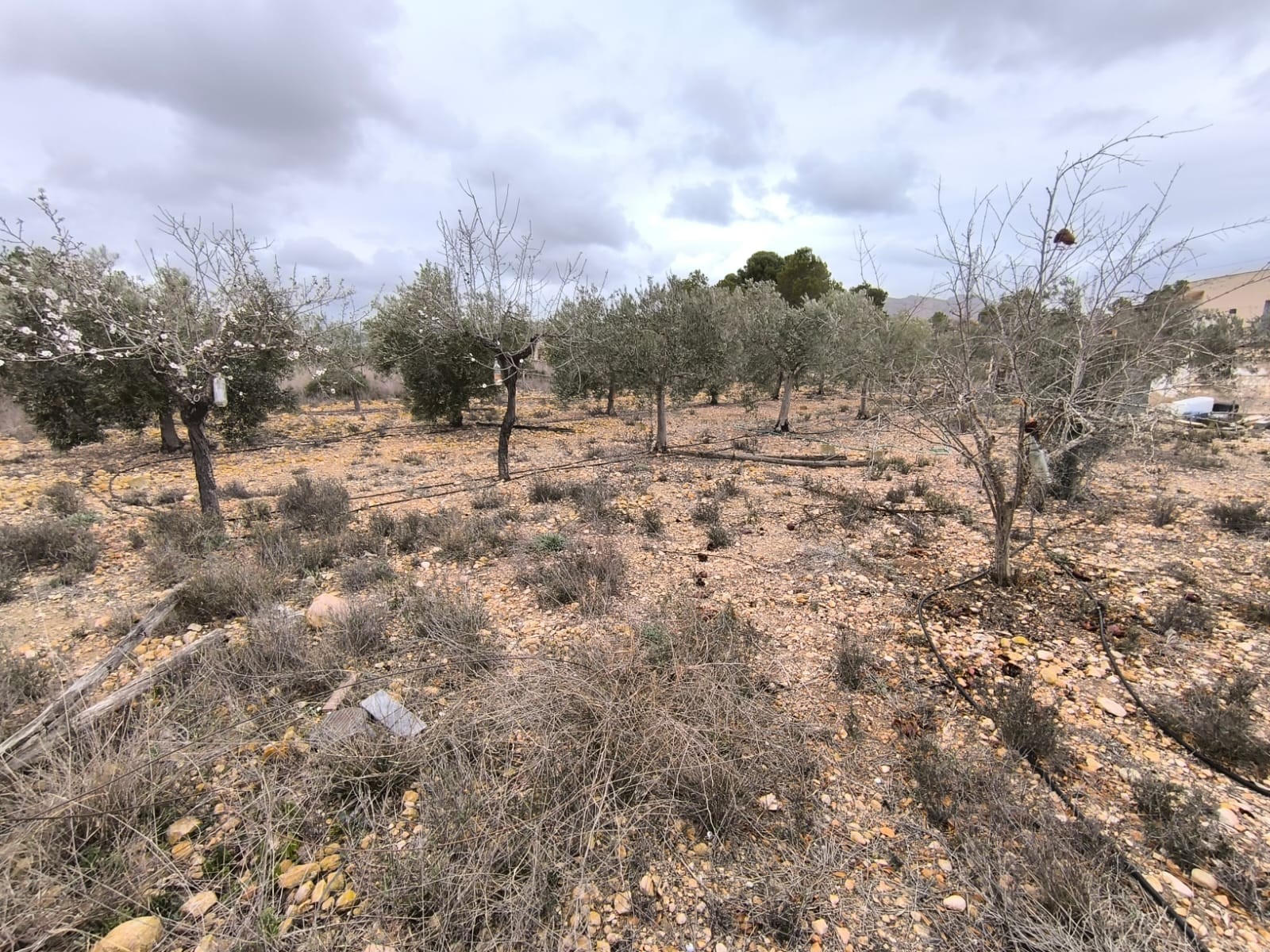 2 Bed, 1 Bath, HouseFor Sale, La Romana, Alicante