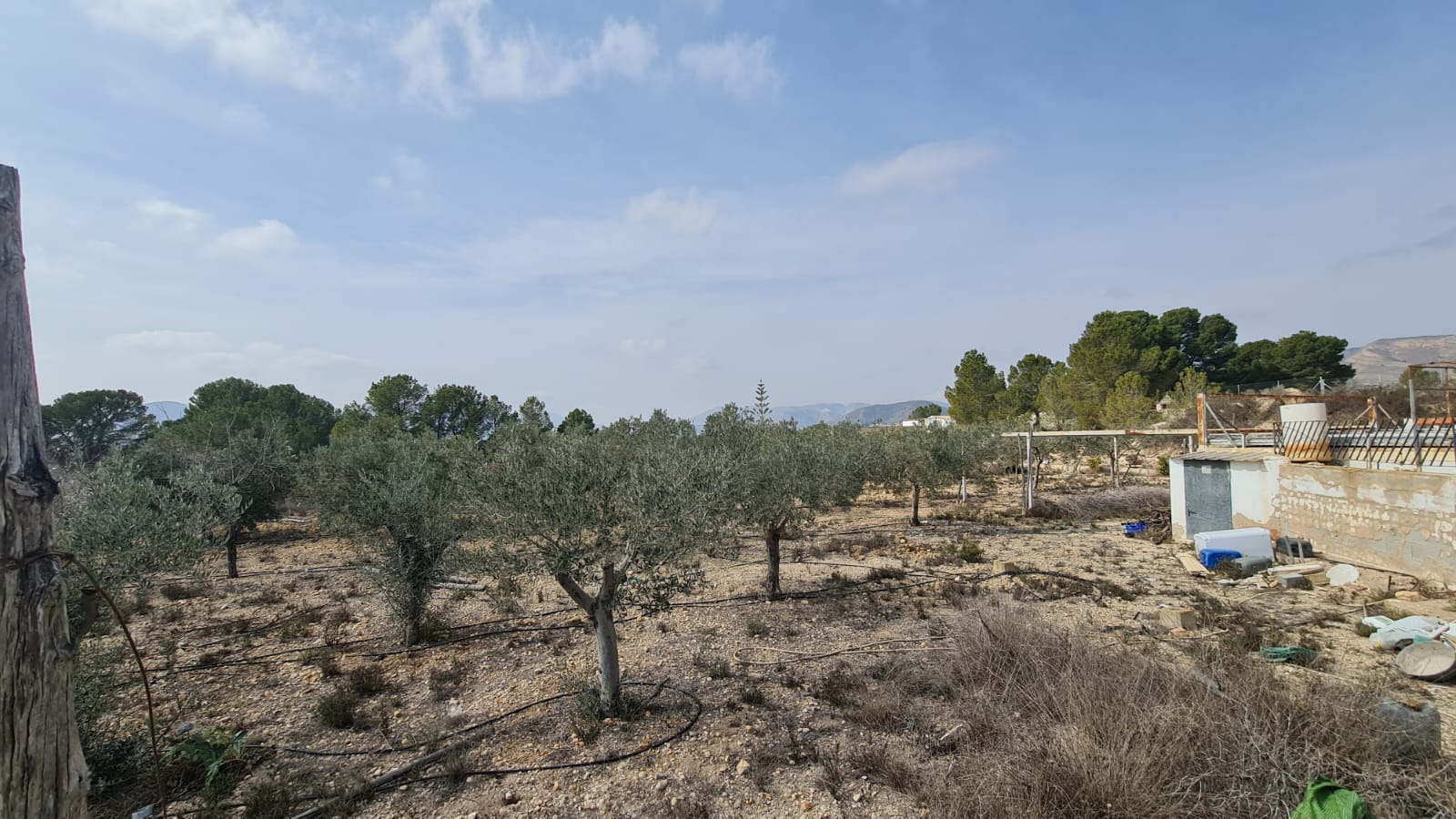 2 Bed, 1 Bath, HouseFor Sale, La Romana, Alicante