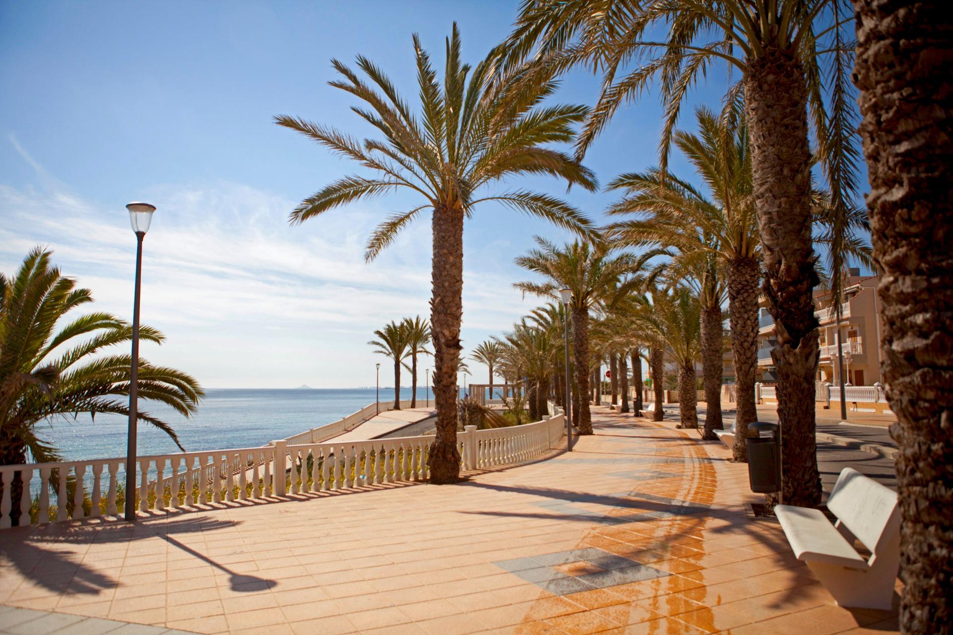 3 Bed, 2 Bath, ApartmentFor Sale, Pilar De La Horadada, Alicante