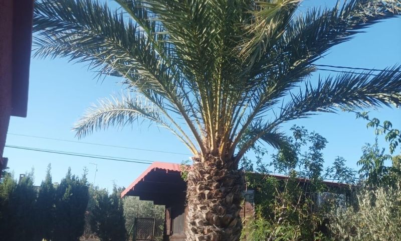 4 Bed, 1 Bath, HouseFor Sale, Elche, Alicante