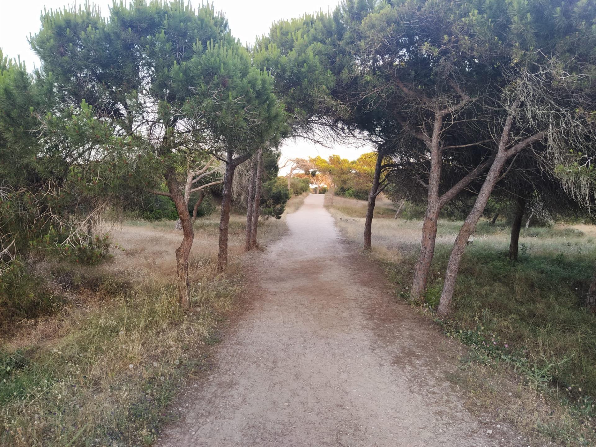 2 Bed, 1 Bath, ApartmentFor Sale, Guardamar Del Segura, Alicante