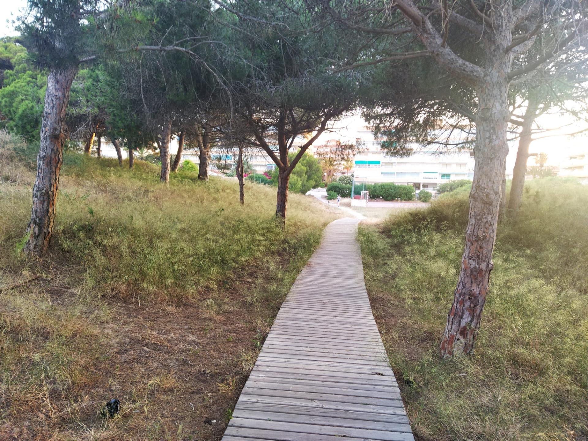 2 Bed, 1 Bath, ApartmentFor Sale, Guardamar Del Segura, Alicante