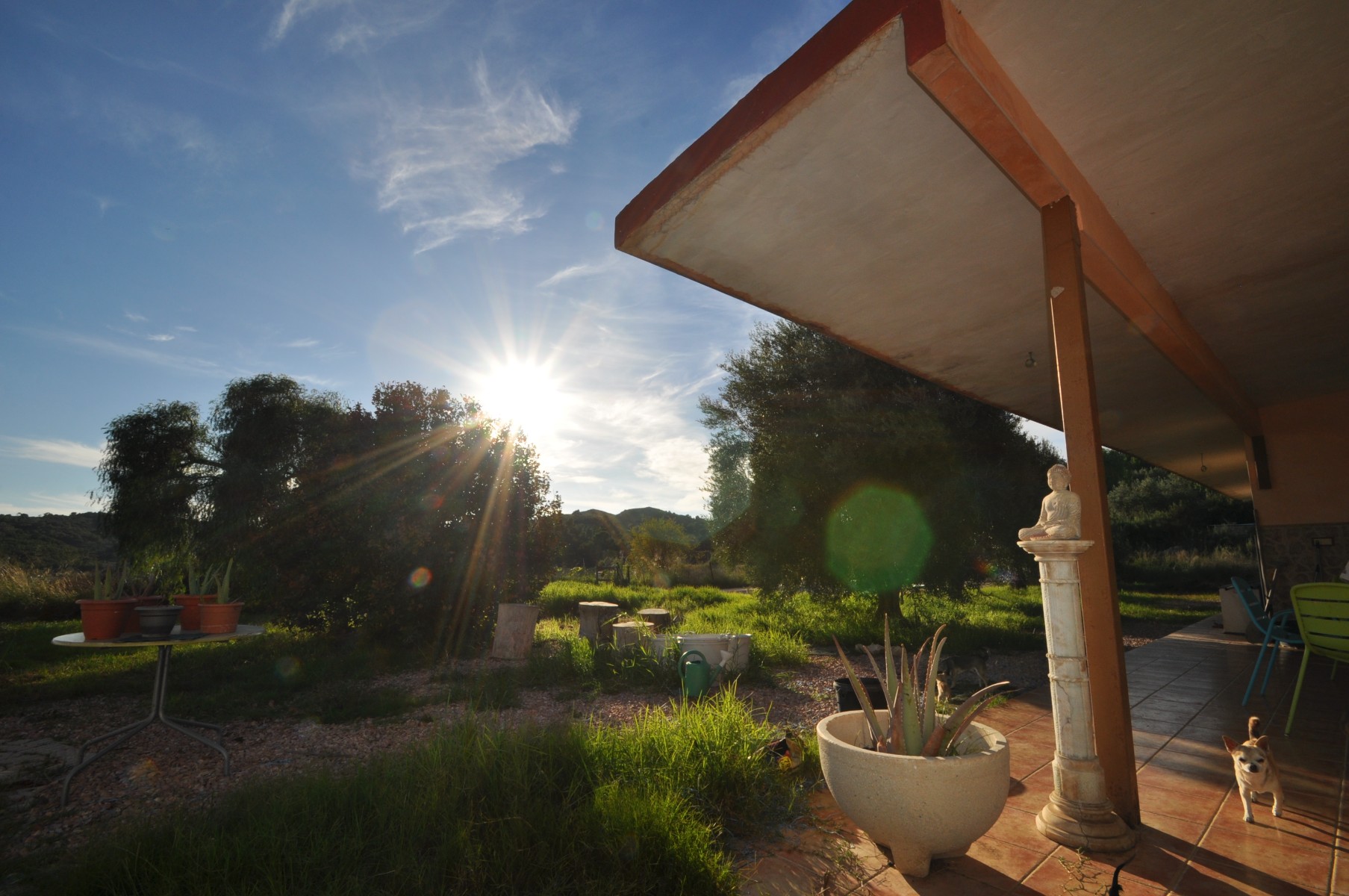 5 Bed, 1 Bath, HouseFor Sale, Aspe, Alicante