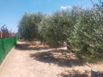 3 Bed, 2 Bath, HouseFor Sale, Elche, Alicante