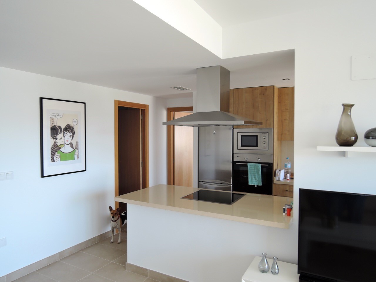 2 Bed, 2 Bath, ApartmentFor Sale, Villamartin, Alicante