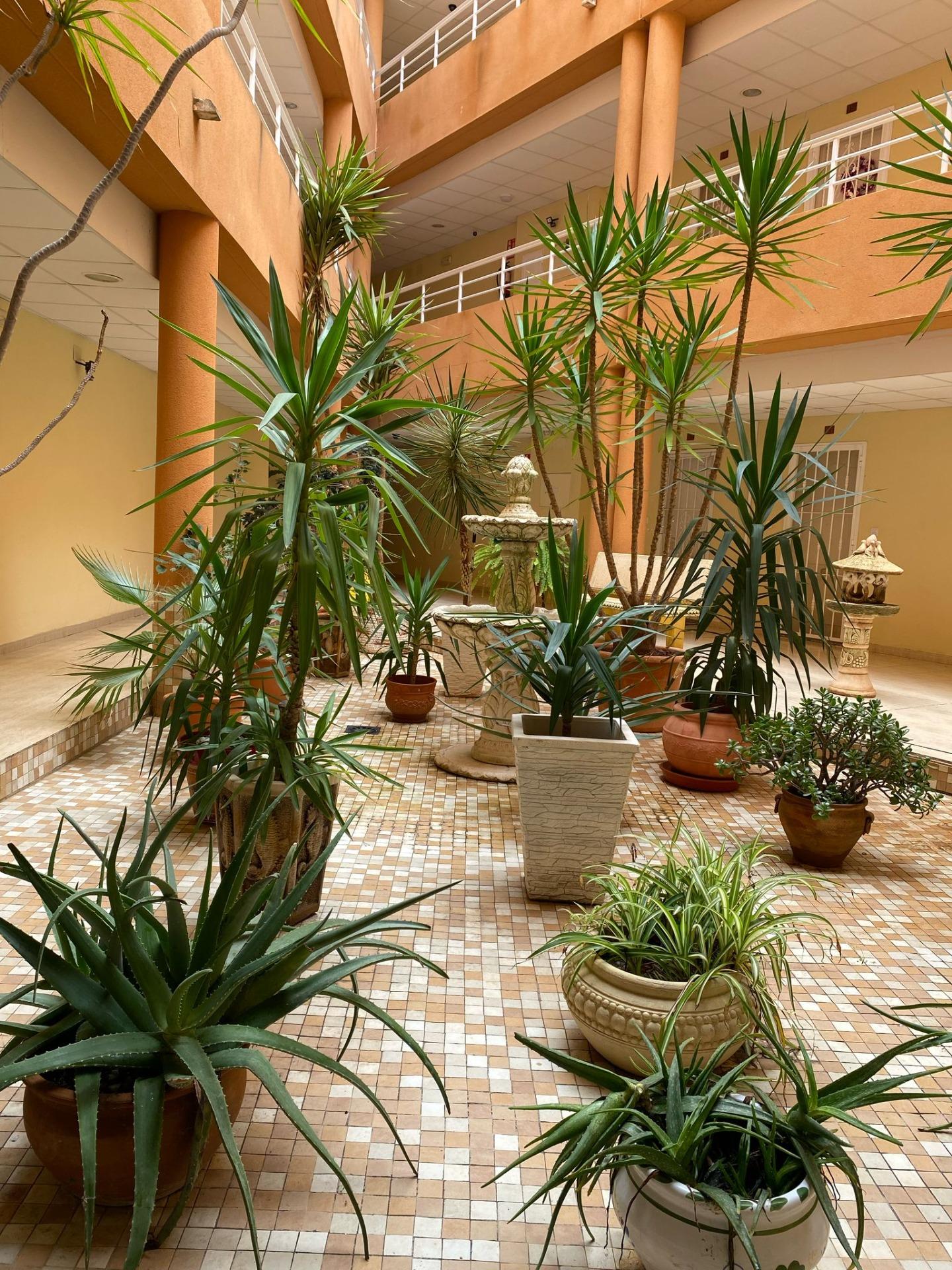 2 Bed, 2 Bath, ApartmentFor Sale, San Miguel de Salinas, Alicante