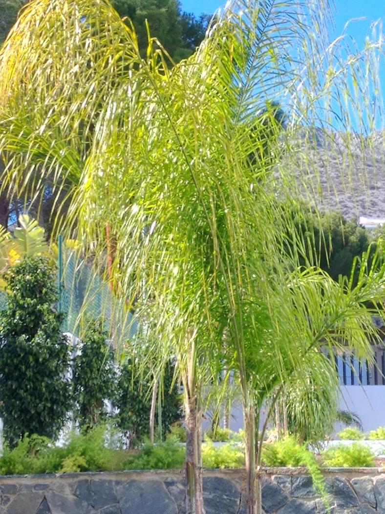 4 Bed, 3 Bath, HouseFor Sale, Altea, Alicante