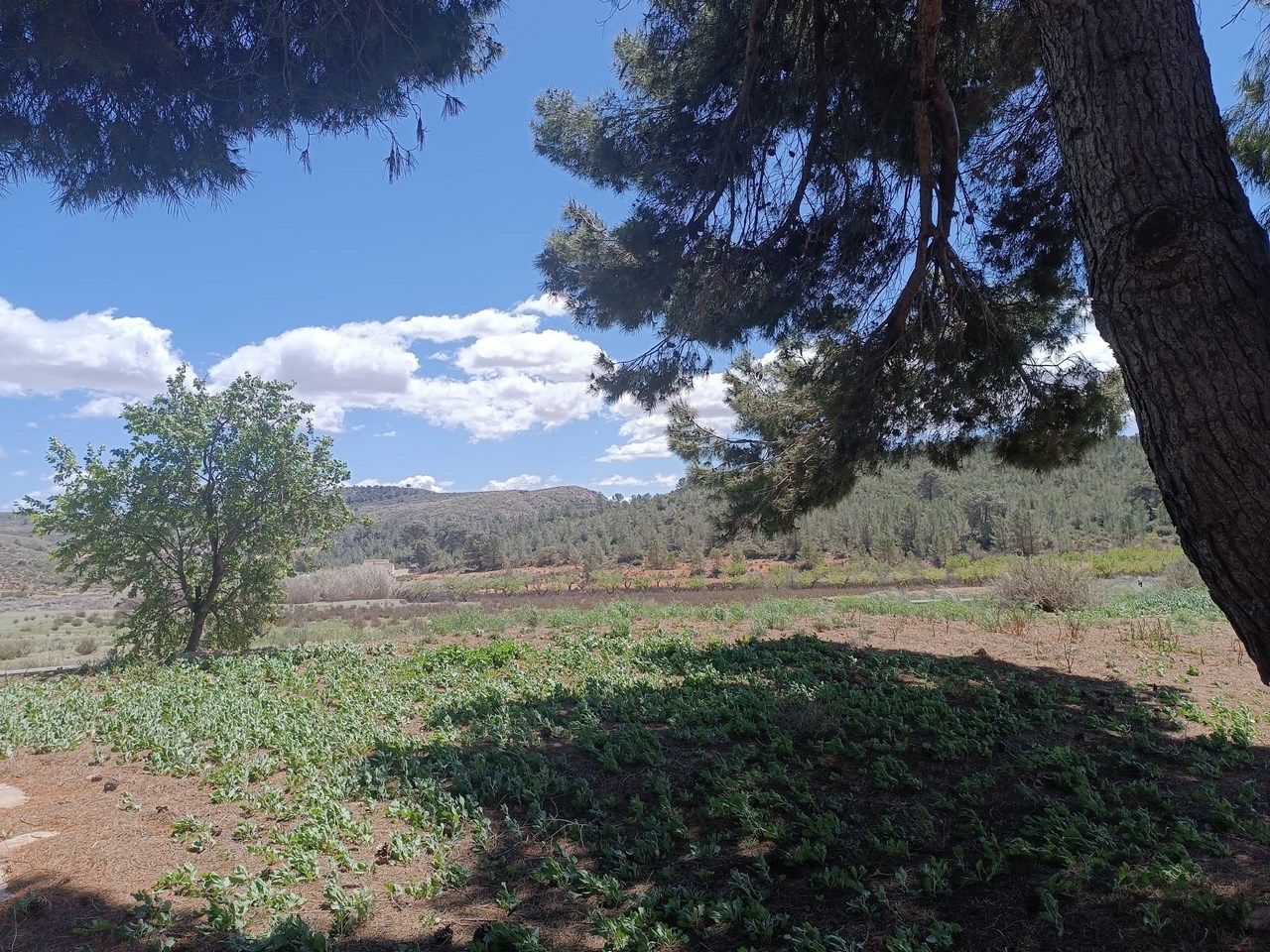 10 Bed, 2 Bath, HouseFor Sale, Yecla, Murcia