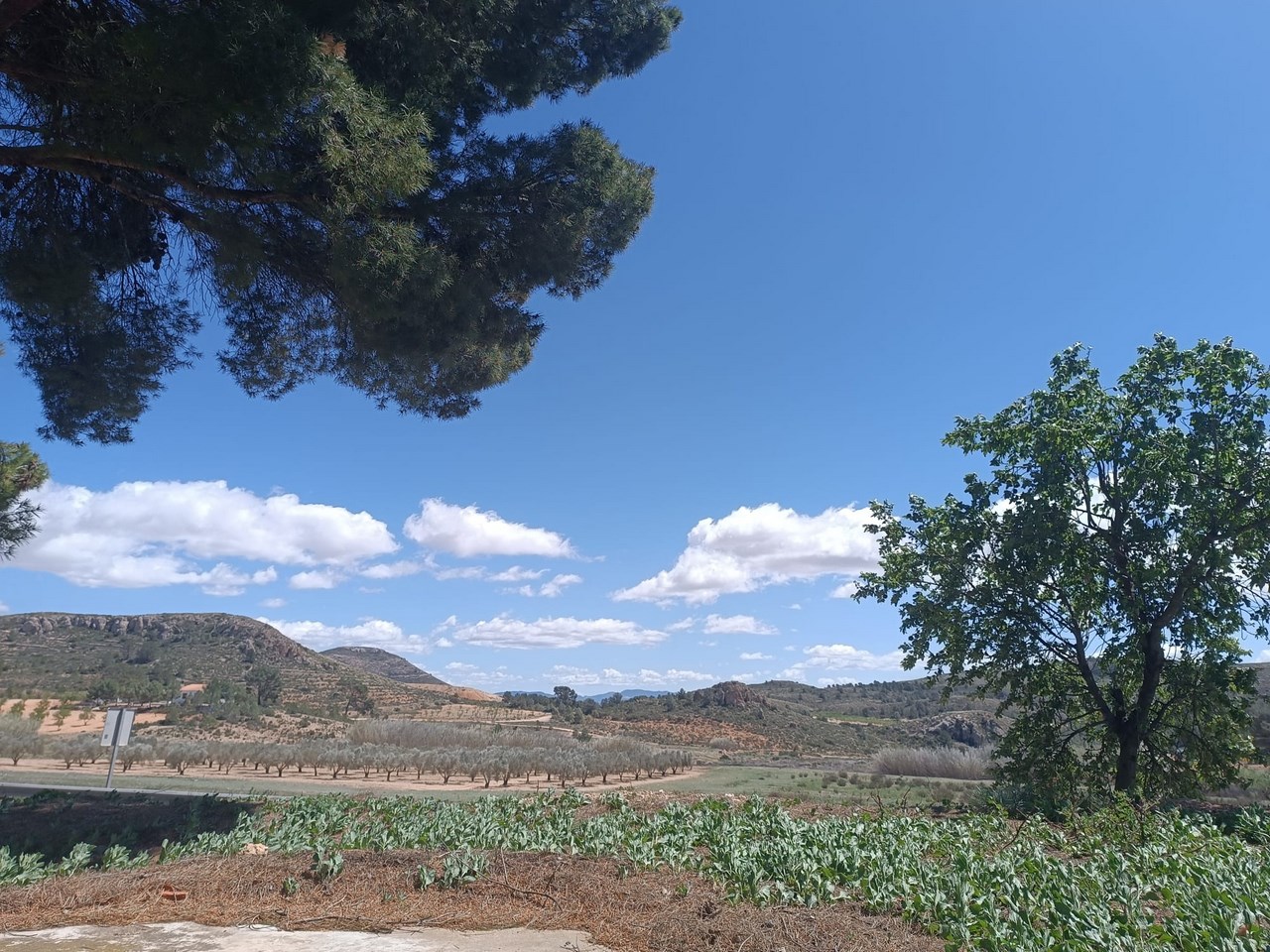 4 Bed, 1 Bath, HouseFor Sale, Yecla, Murcia