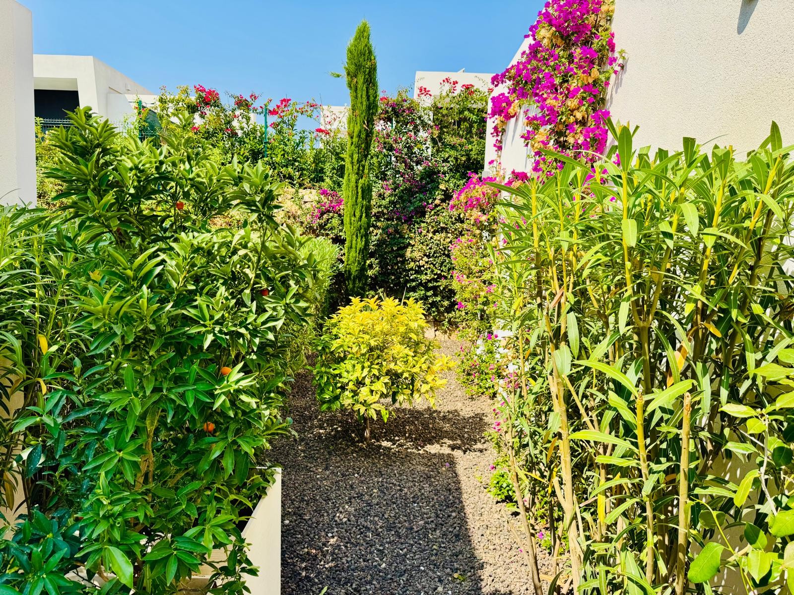 2 Bed, 2 Bath, HouseFor Sale, Algorfa, Alicante 2 Bed, 2 Bath, HouseFor Sale, Algorfa, Alicante