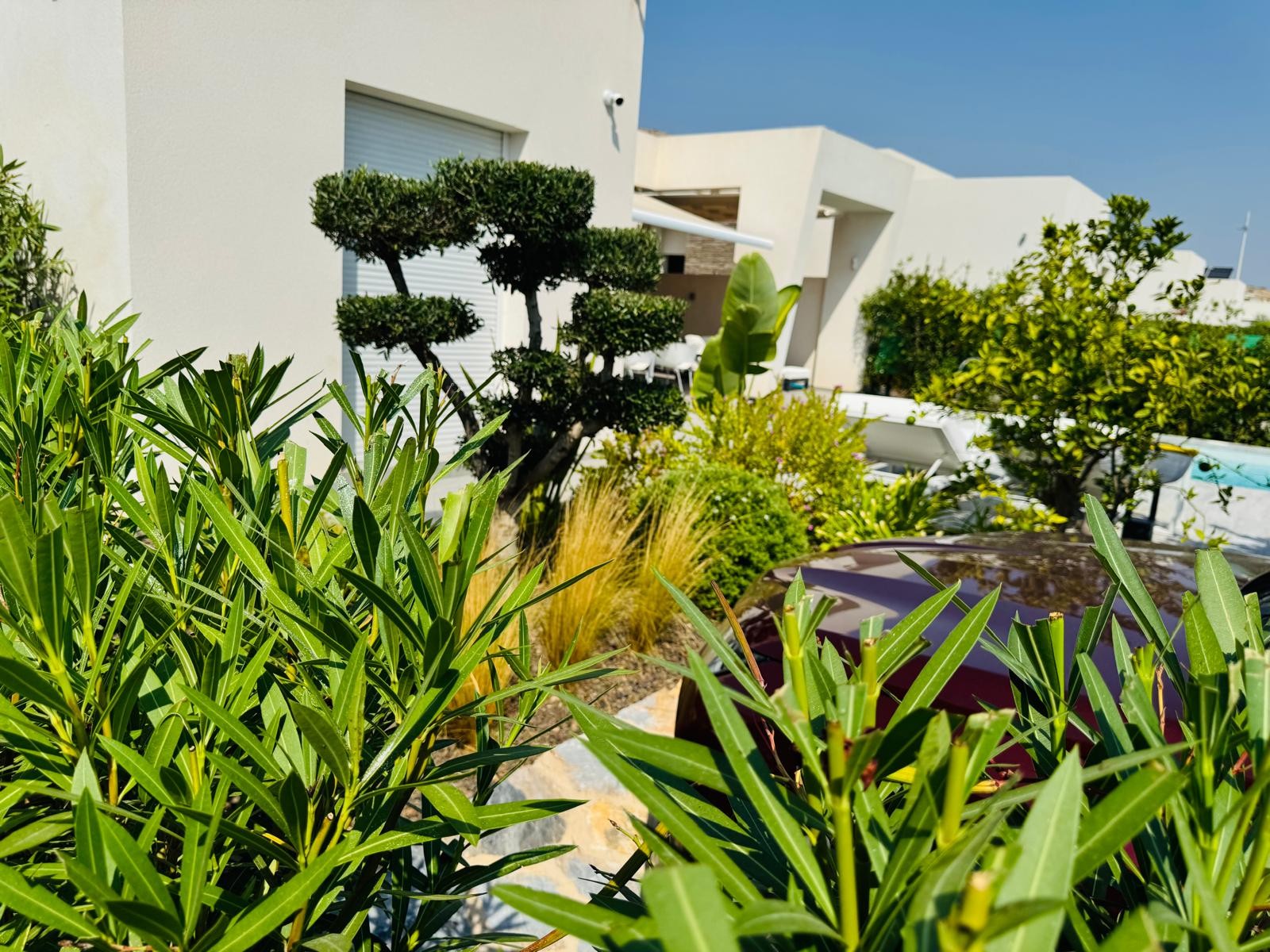 2 Bed, 2 Bath, HouseFor Sale, Algorfa, Alicante 2 Bed, 2 Bath, HouseFor Sale, Algorfa, Alicante