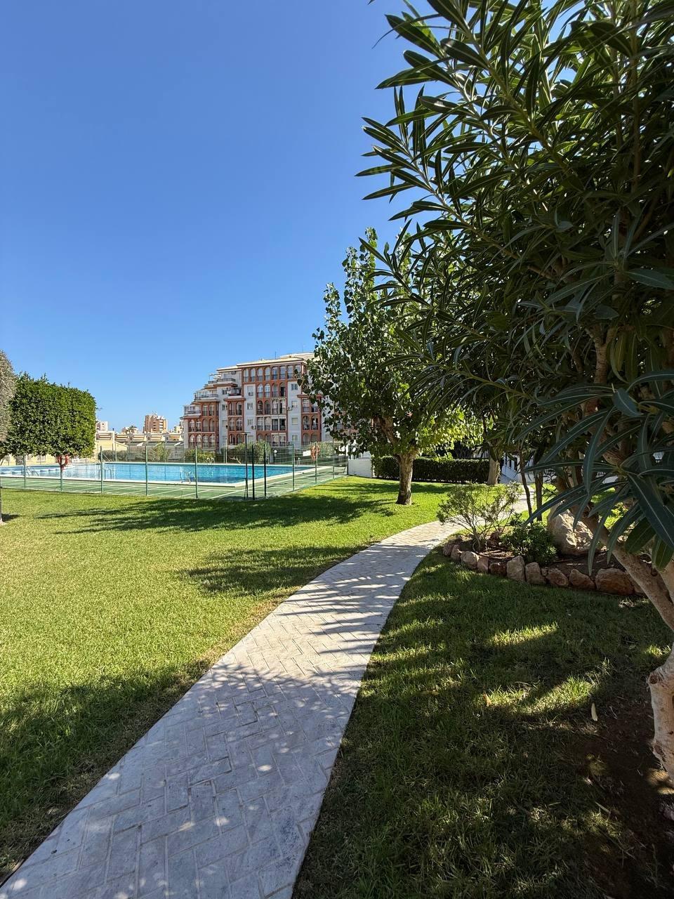 1 Bed, 1 Bath, ApartmentFor Sale, Torrevieja, Alicante 1 Bed, 1 Bath, ApartmentFor Sale, Torrevieja, Alicante