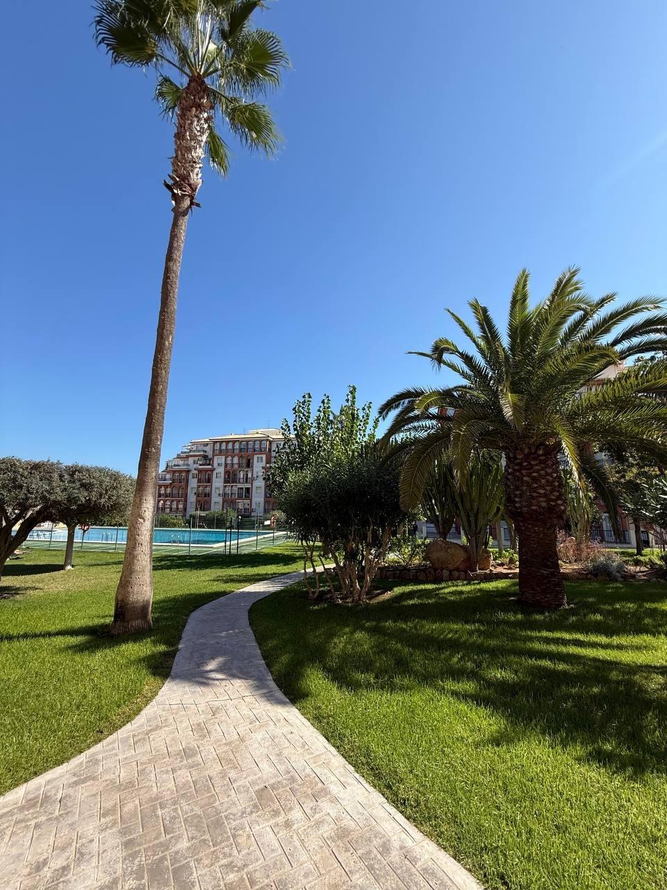 1 Bed, 1 Bath, ApartmentFor Sale, Torrevieja, Alicante 1 Bed, 1 Bath, ApartmentFor Sale, Torrevieja, Alicante
