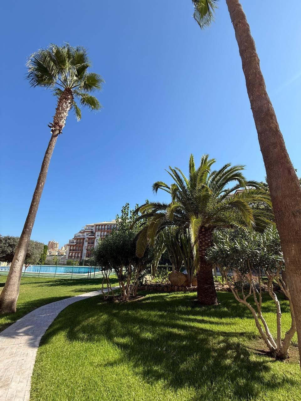 1 Bed, 1 Bath, ApartmentFor Sale, Torrevieja, Alicante 1 Bed, 1 Bath, ApartmentFor Sale, Torrevieja, Alicante