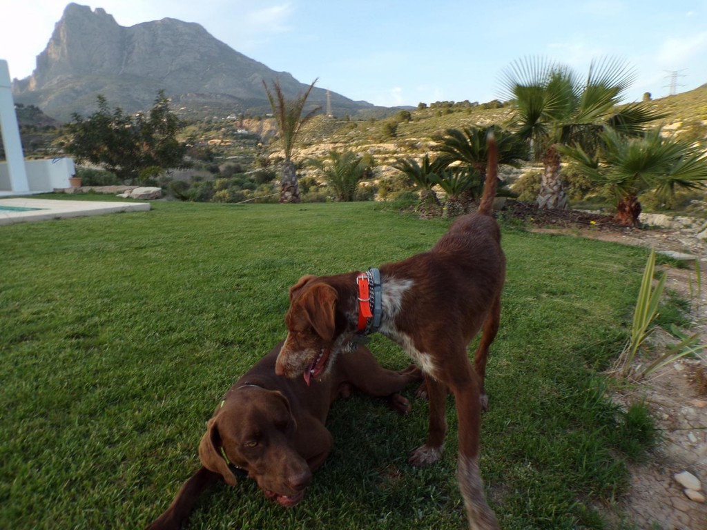 4 Bed, 3 Bath, HouseFor Sale, Finestrat, Alicante