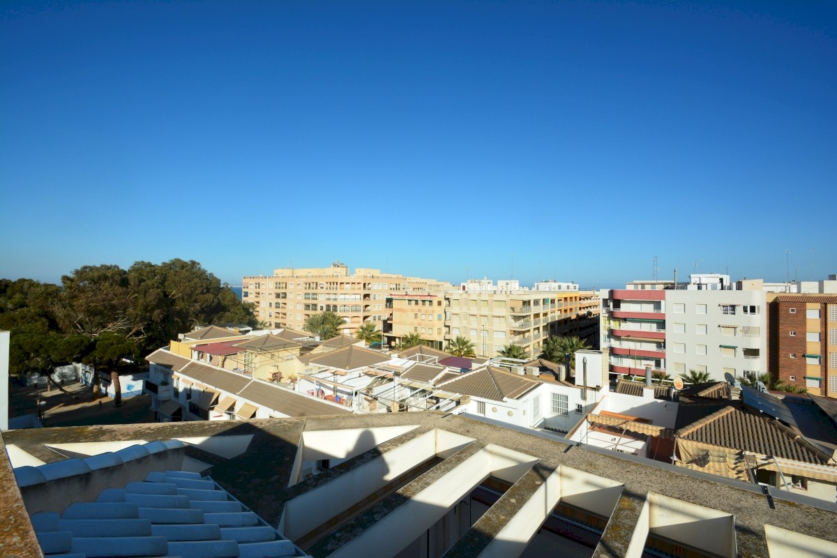 2 Bed, 1 Bath, ApartmentFor Sale, Guardamar Del Segura, Alicante 2 Bed, 1 Bath, ApartmentFor Sale, Guardamar Del Segura, Alicante