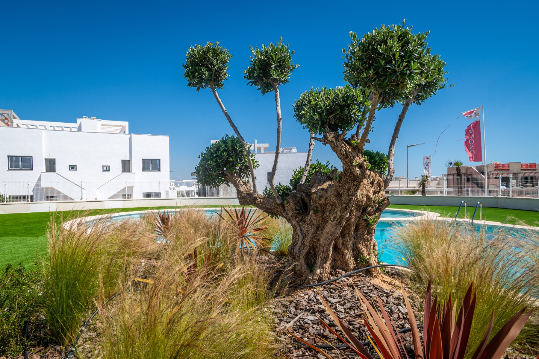 2 Bed, 2 Bath, ApartmentFor Sale, Torrevieja, Alicante 2 Bed, 2 Bath, ApartmentFor Sale, Torrevieja, Alicante