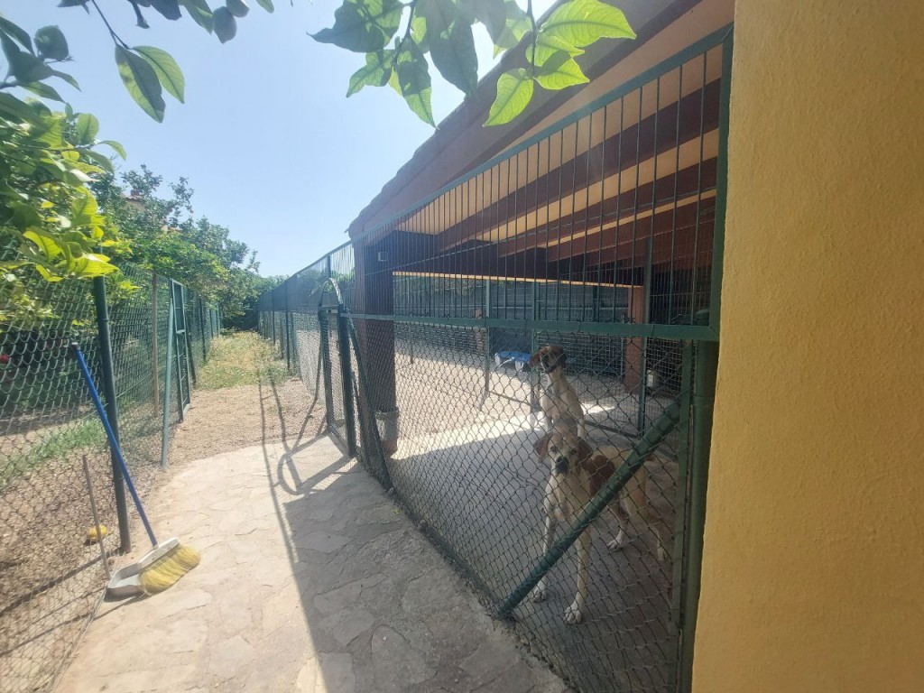 5 Bed, 3 Bath, HouseFor Sale, Albir, Alicante 5 Bed, 3 Bath, HouseFor Sale, Albir, Alicante