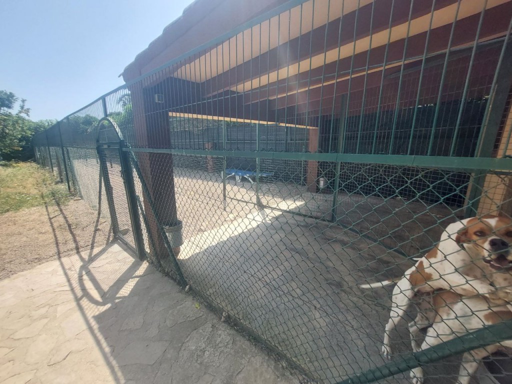 5 Bed, 3 Bath, HouseFor Sale, Albir, Alicante 5 Bed, 3 Bath, HouseFor Sale, Albir, Alicante