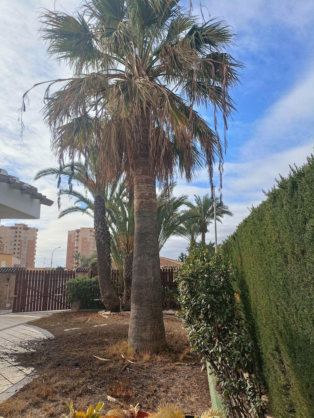 4 Bed, 3 Bath, HouseFor Sale, Orihuela Costa, Alicante