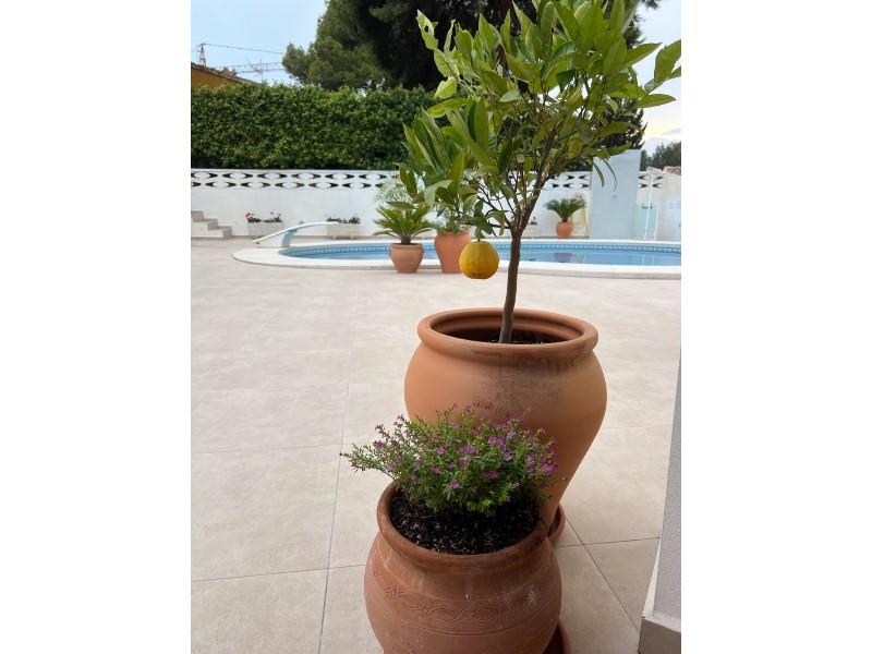 4 Bed, 2 Bath, HouseFor Sale, Alfas del Pi, Alicante