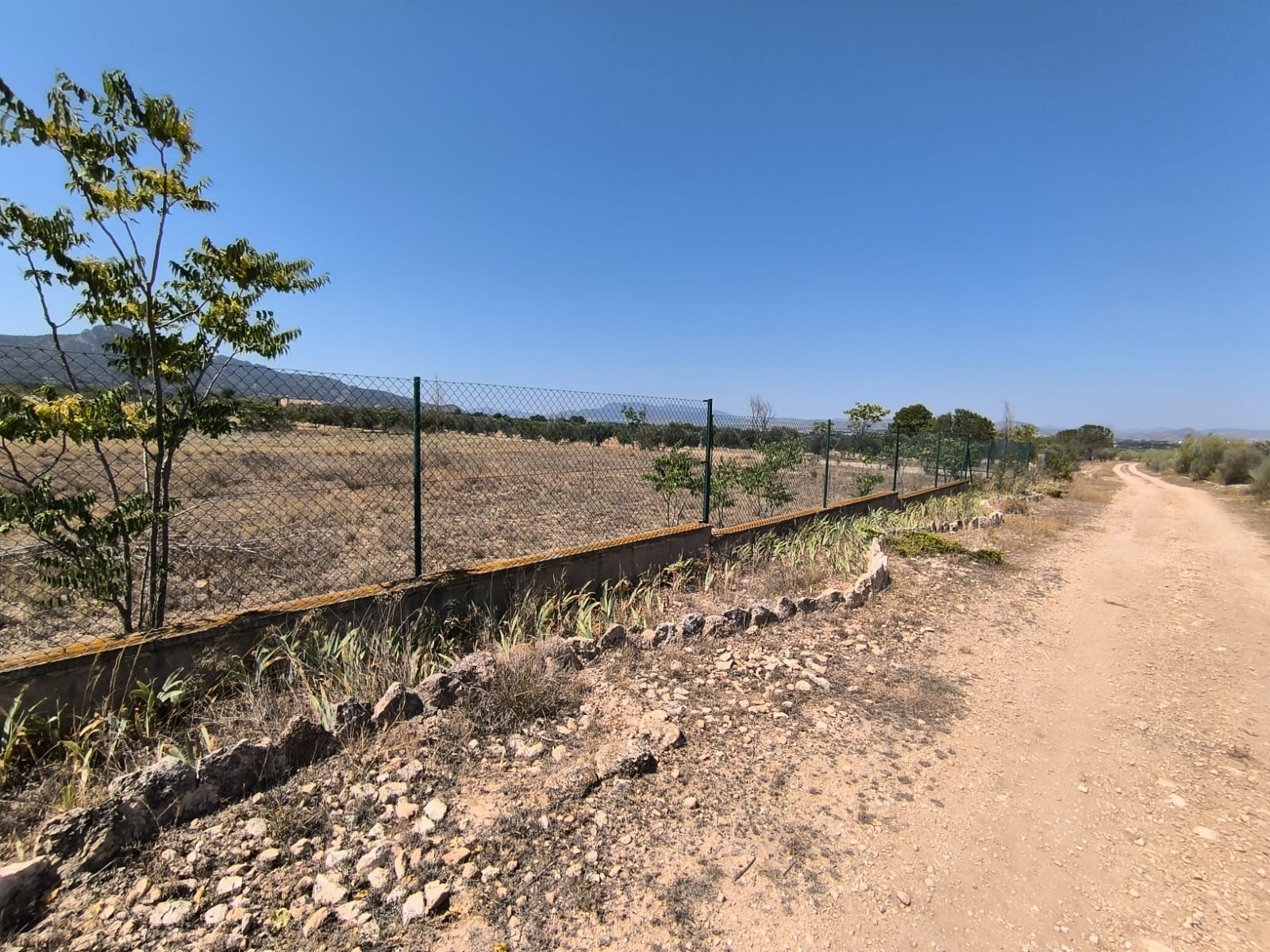 6 Bed, 2 Bath, HouseFor Sale, Villena, Alicante 6 Bed, 2 Bath, HouseFor Sale, Villena, Alicante