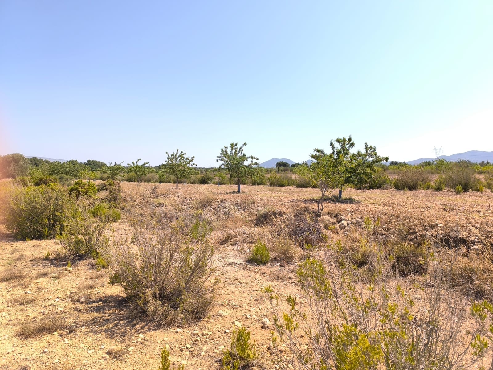 6 Bed, 2 Bath, HouseFor Sale, Villena, Alicante 6 Bed, 2 Bath, HouseFor Sale, Villena, Alicante