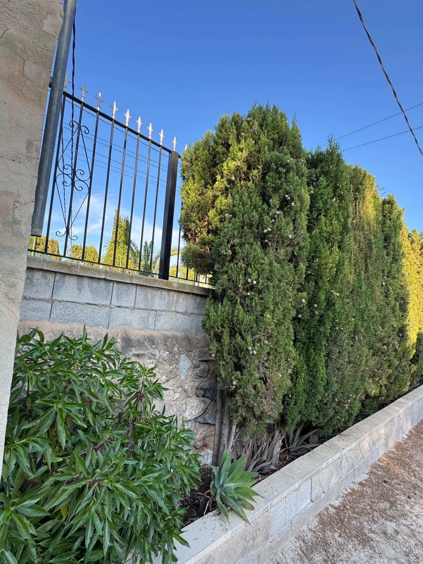 4 Bed, 3 Bath, HouseFor Sale, Albatera, Alicante 4 Bed, 3 Bath, HouseFor Sale, Albatera, Alicante