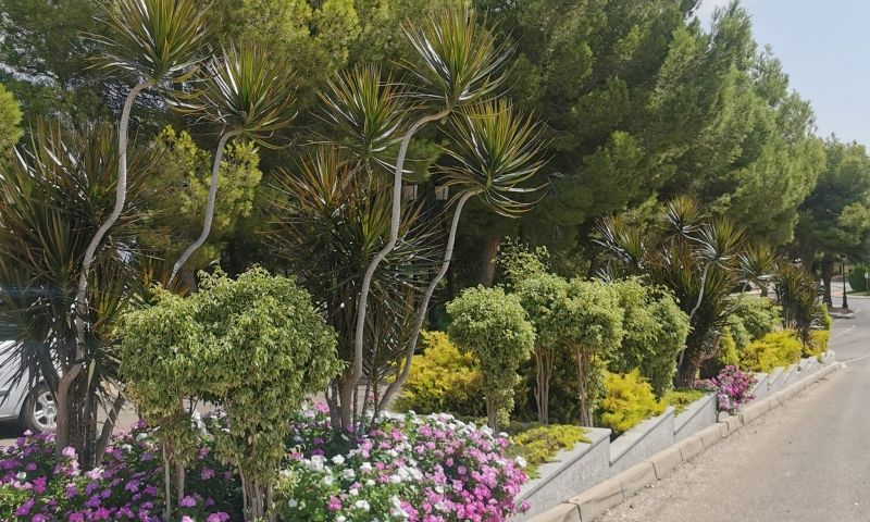 2 Bed, 2 Bath, ApartmentFor Sale, Orihuela Costa, Alicante