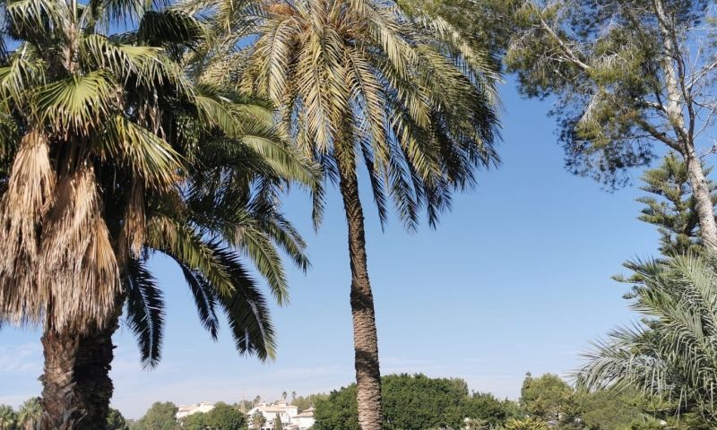 2 Bed, 2 Bath, ApartmentFor Sale, Orihuela Costa, Alicante