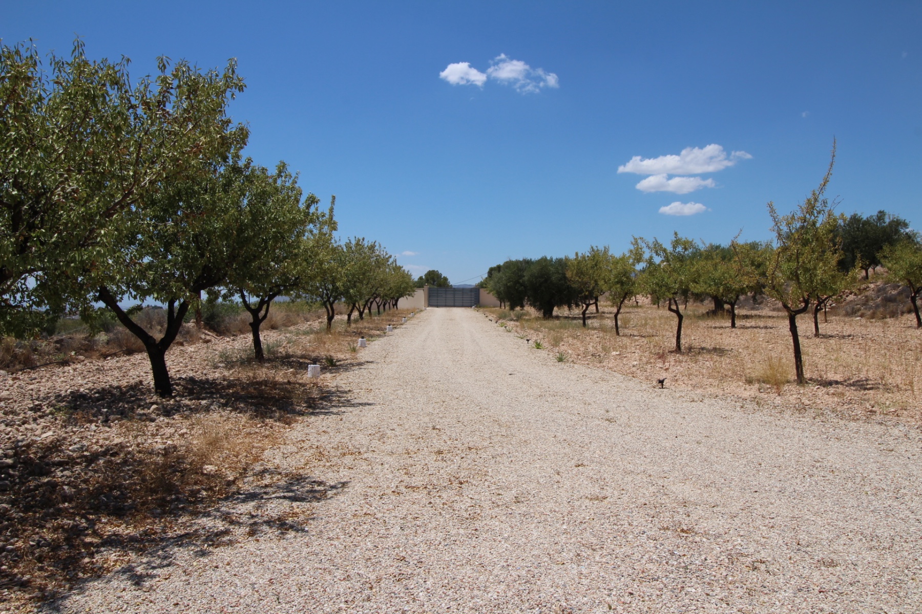 4 Bed, 3 Bath, HouseFor Sale, Macisvenda, Murcia