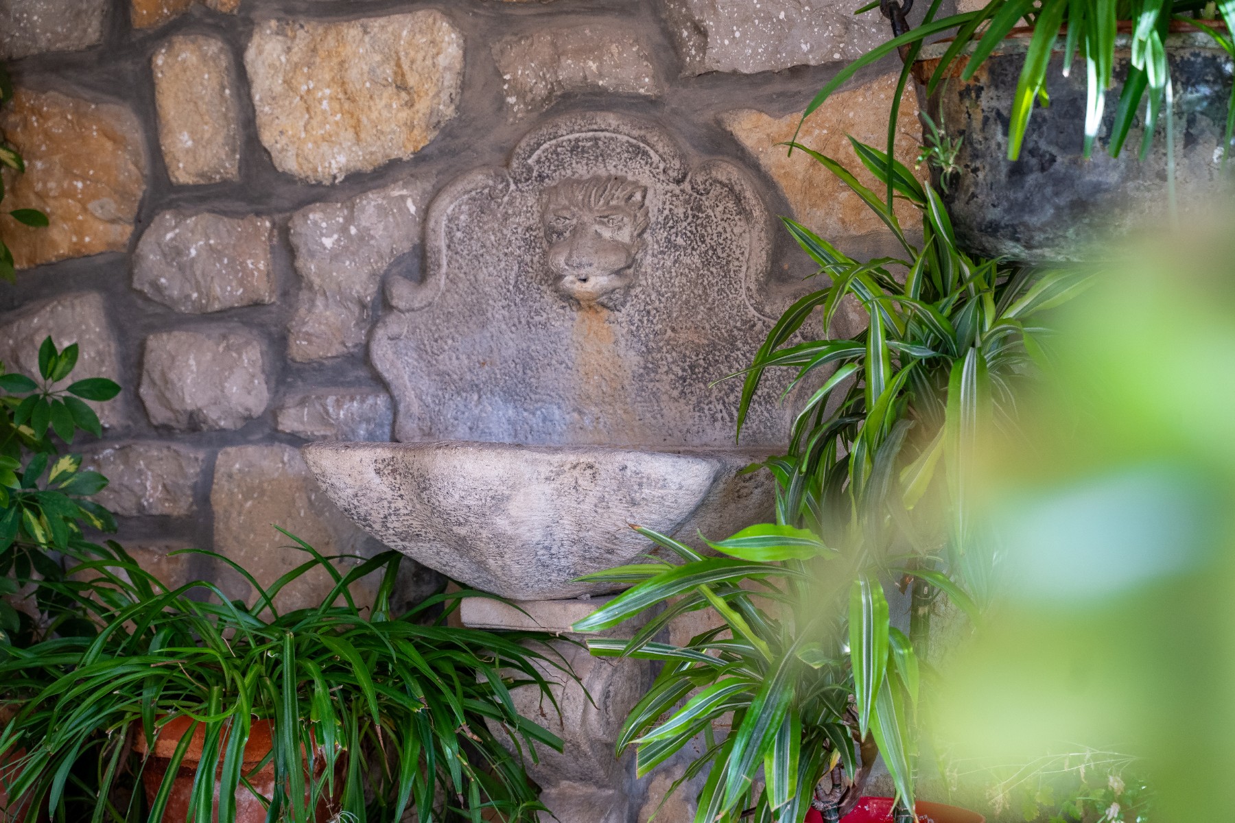 8 Bed, 4 Bath, HouseFor Sale, Alicante, Alicante