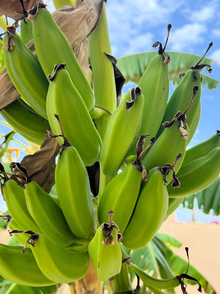 4 Bed, 3 Bath, HouseFor Sale, Los Urrutias, Murcia