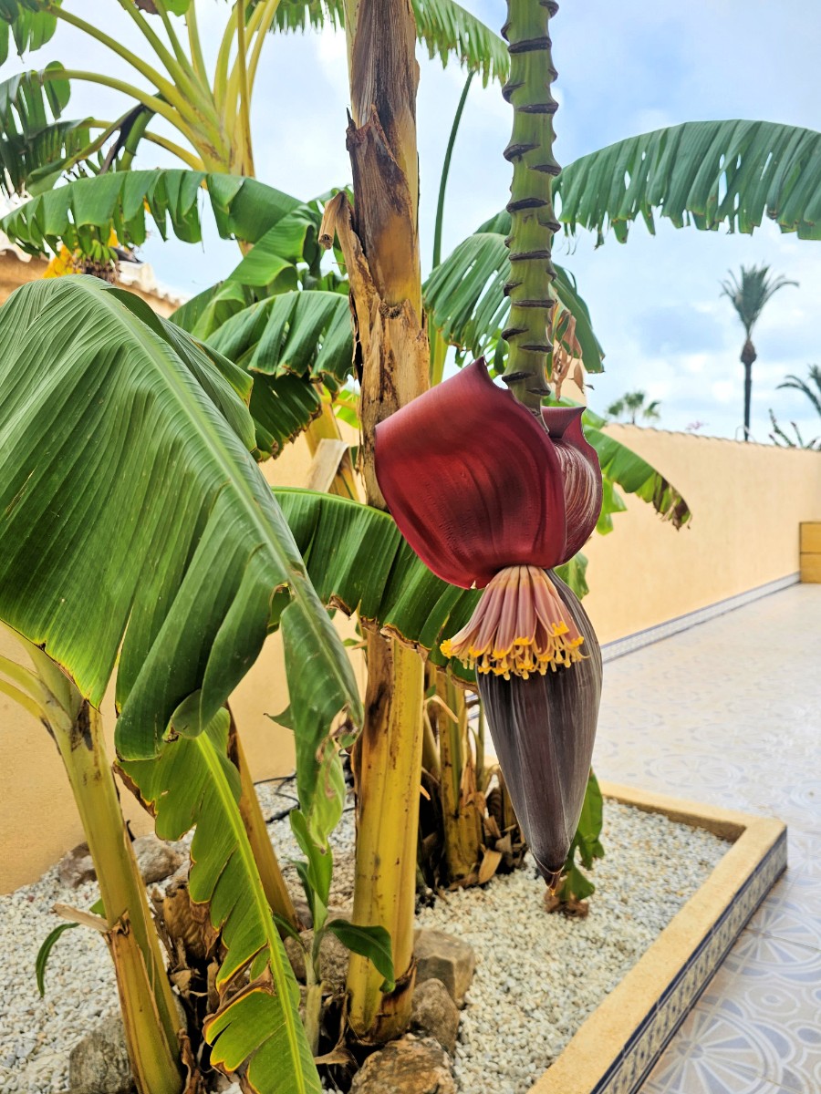 4 Bed, 3 Bath, HouseFor Sale, Los Urrutias, Murcia