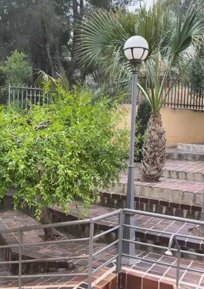 6 Bed, 7 Bath, HouseFor Sale, El Palmar, Murcia 6 Bed, 7 Bath, HouseFor Sale, El Palmar, Murcia