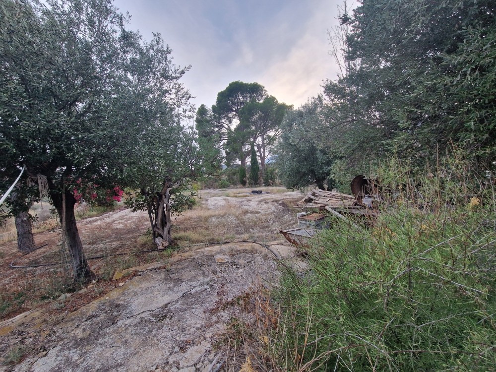 7 Bed, 2 Bath, HouseFor Sale, Relleu, Alicante