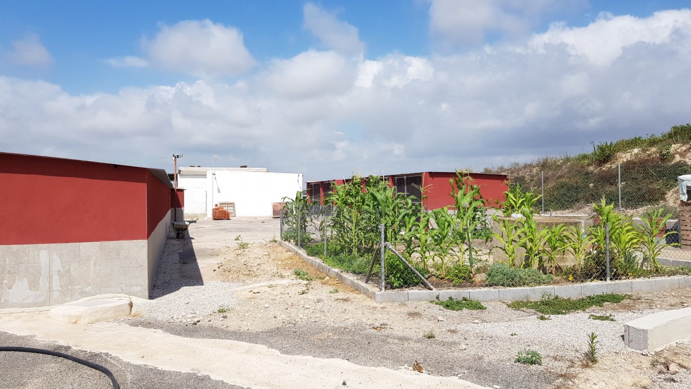 2 Bed, 2 Bath, HouseFor Sale, Los Montesinos, Alicante