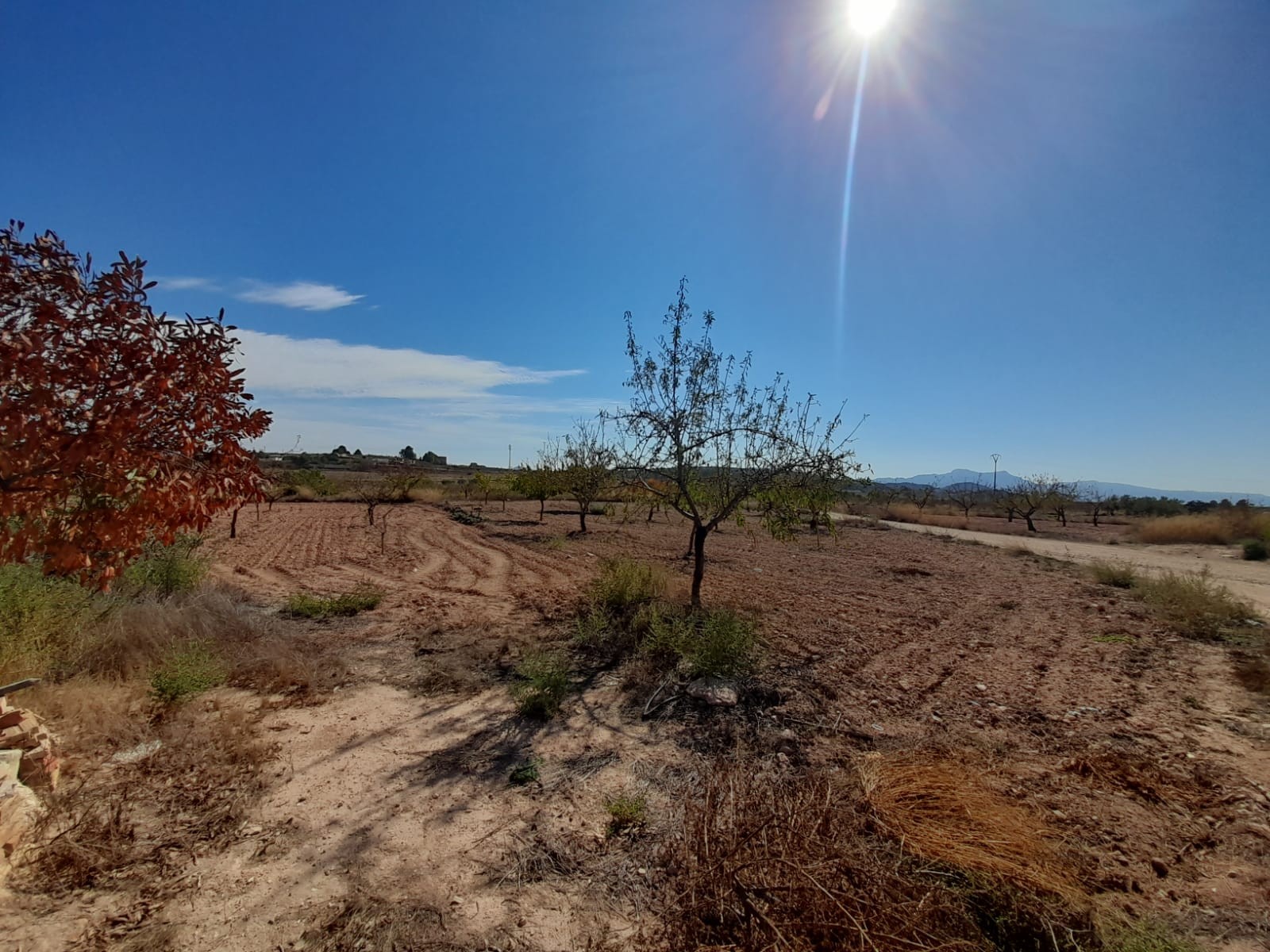 4 Bed, 1 Bath, HouseFor Sale, Pinoso, Alicante