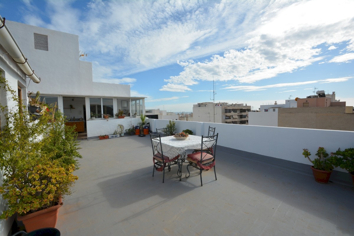 4 Bed, 2 Bath, ApartmentFor Sale, Guardamar Del Segura, Alicante 4 Bed, 2 Bath, ApartmentFor Sale, Guardamar Del Segura, Alicante