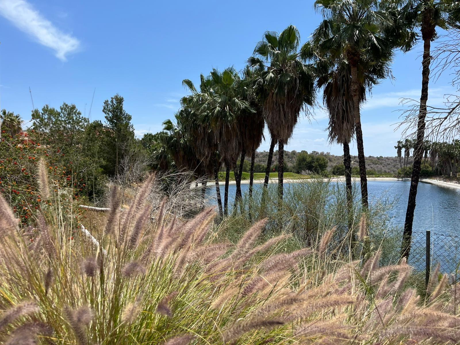 2 Bed, 2 Bath, ApartmentFor Sale, Orihuela Costa, Alicante