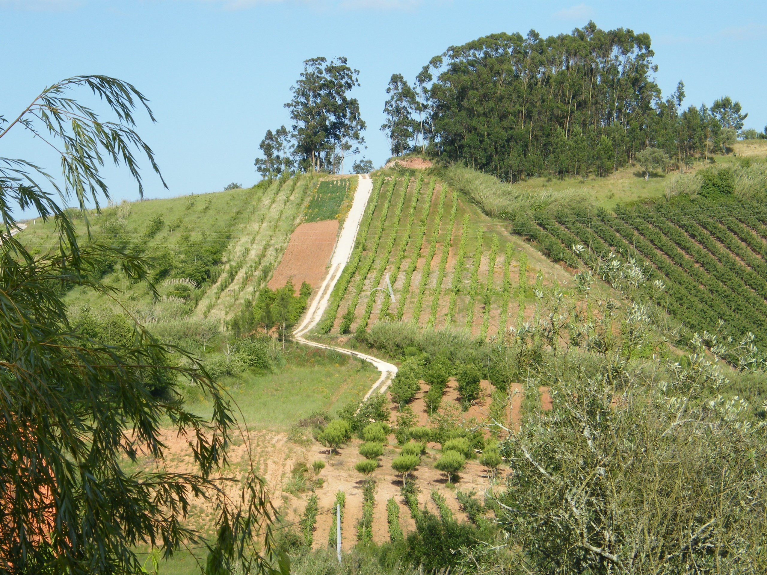 4 Bed, 3 Bath, HouseFor Sale, Caldas da Rainha, Leiria 4 Bed, 3 Bath, HouseFor Sale, Caldas da Rainha, Leiria