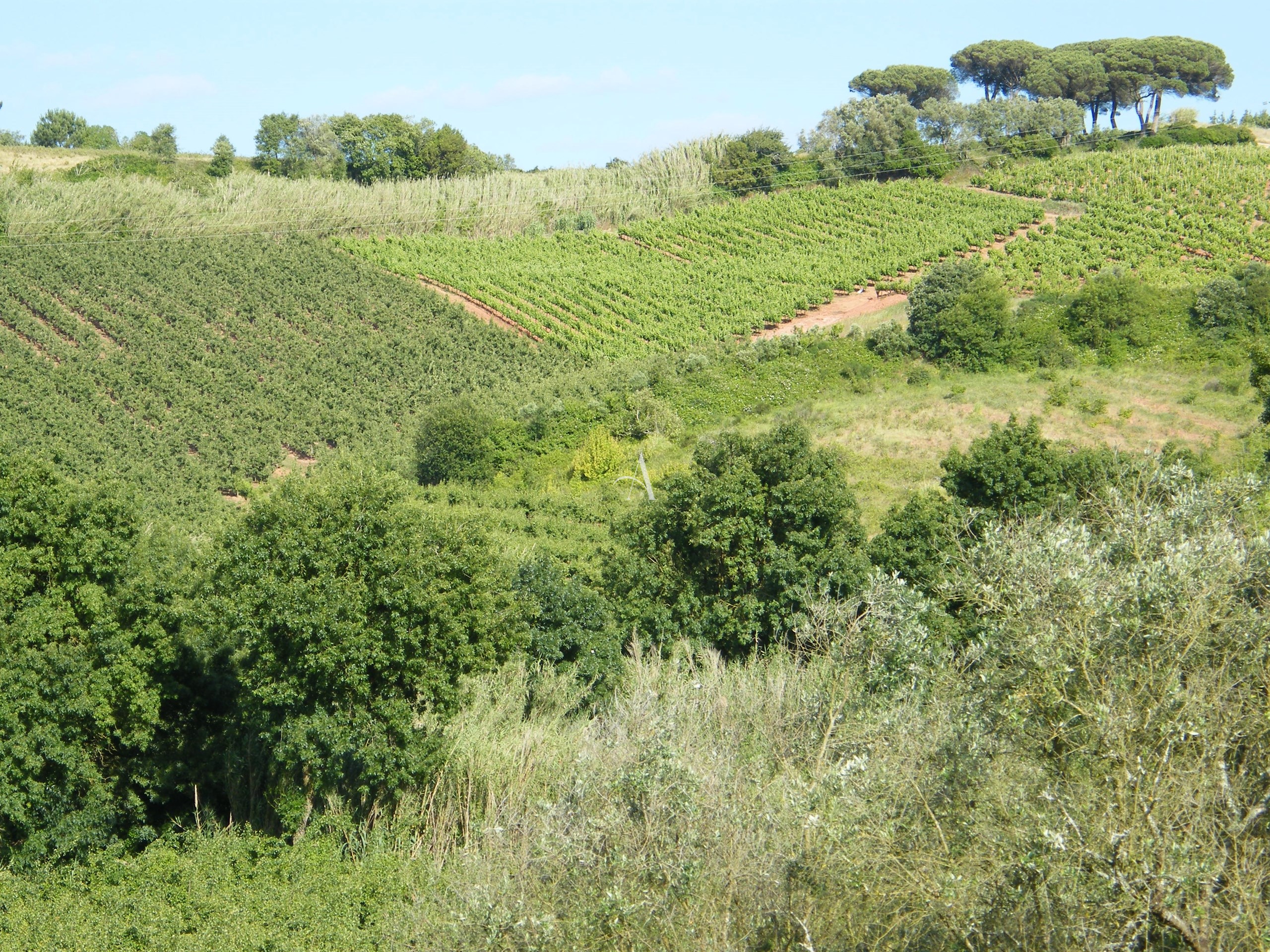 4 Bed, 3 Bath, HouseFor Sale, Caldas da Rainha, Leiria 4 Bed, 3 Bath, HouseFor Sale, Caldas da Rainha, Leiria