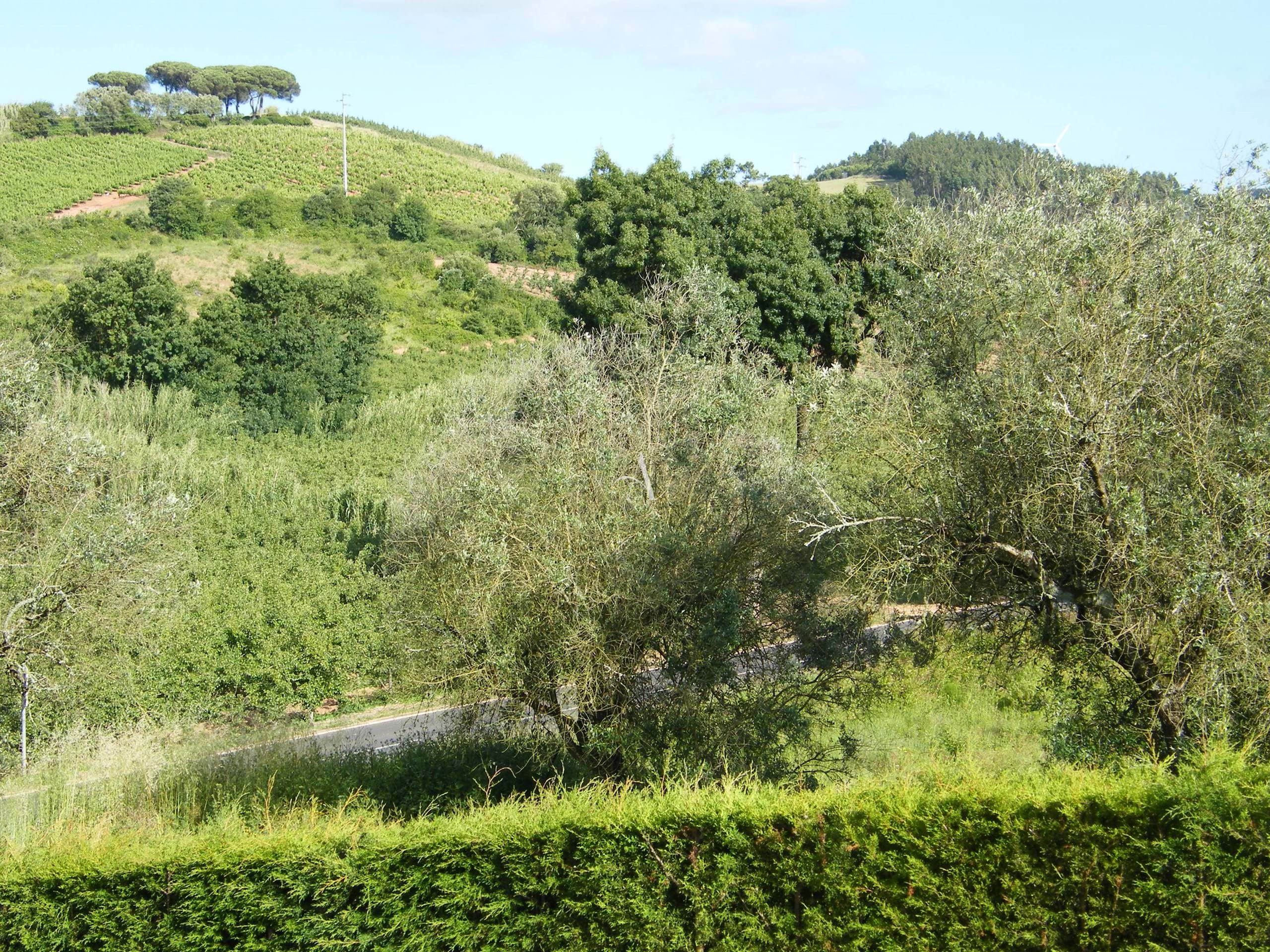 4 Bed, 3 Bath, HouseFor Sale, Caldas da Rainha, Leiria 4 Bed, 3 Bath, HouseFor Sale, Caldas da Rainha, Leiria